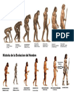 evolucion  del hombre.docx