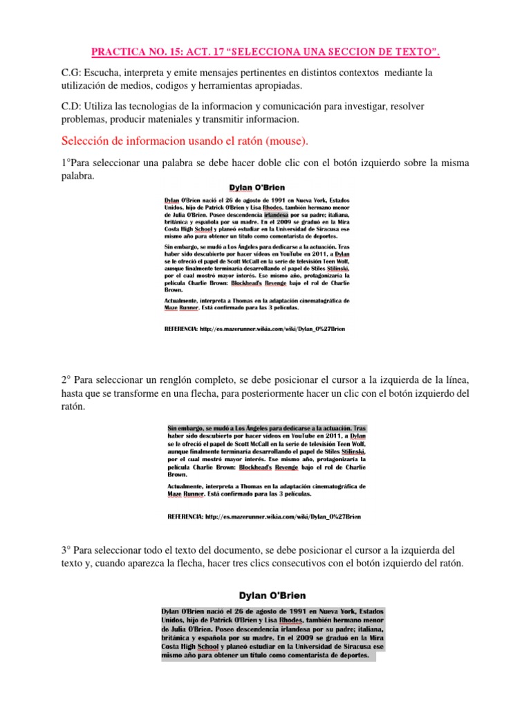 Selección de Texto: Guía Práctica | PDF | Artes del Lenguaje y ...