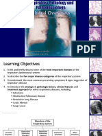 Respiratory Pathology and Pathophysiology-Global Overview