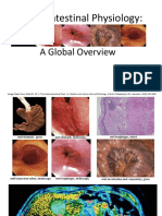 Gastrointestinal Physiology-A Global Overview