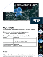 Gram Positive Rods