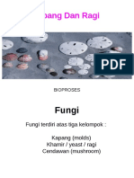P2 PDF Bim Kapang Dan Ragi