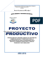 PROYECTO PLANTONES-MEDIO AMBIENTE.docx