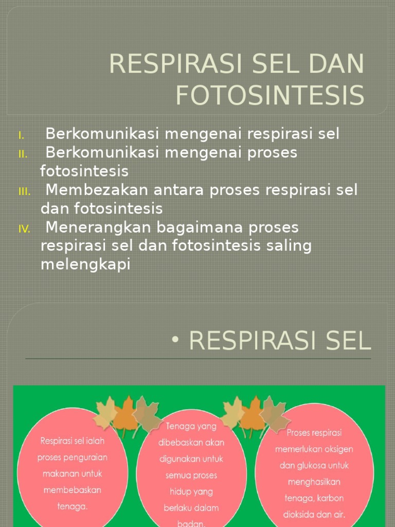 Respirasi Sel Dan Fotosintesis Pdf