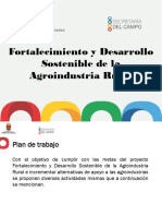 fodesa plan d trabajo.ppt