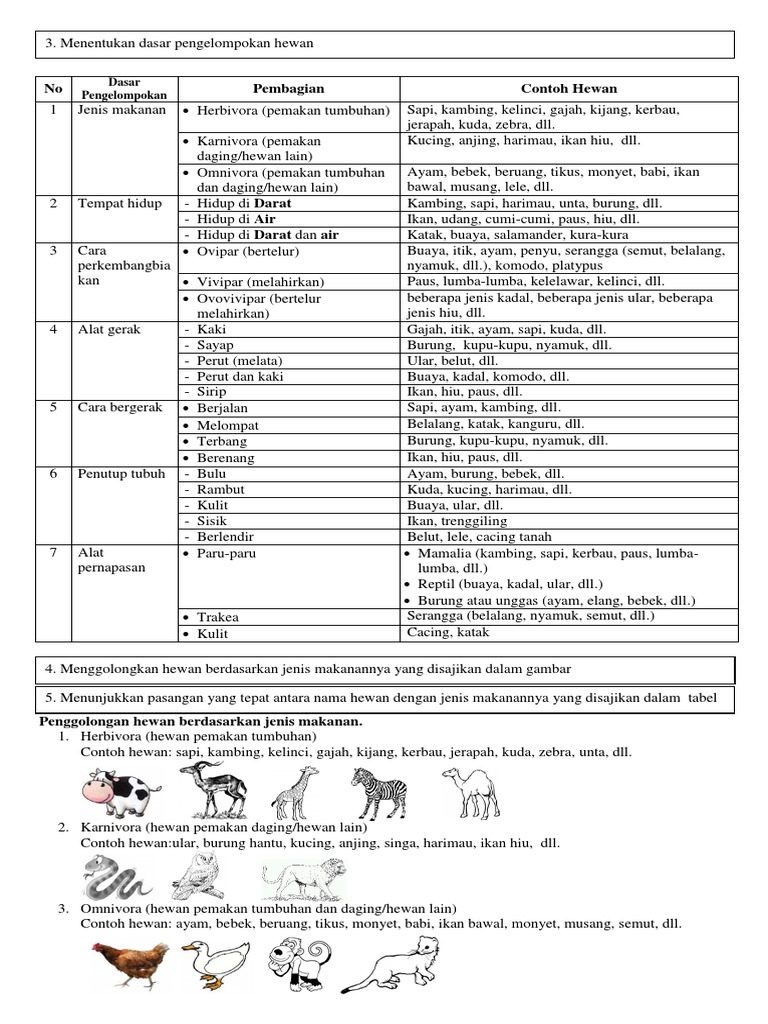 630 Gambar Hewan Dan Nama Makanannya Gratis Terbaik Gambar Hewan