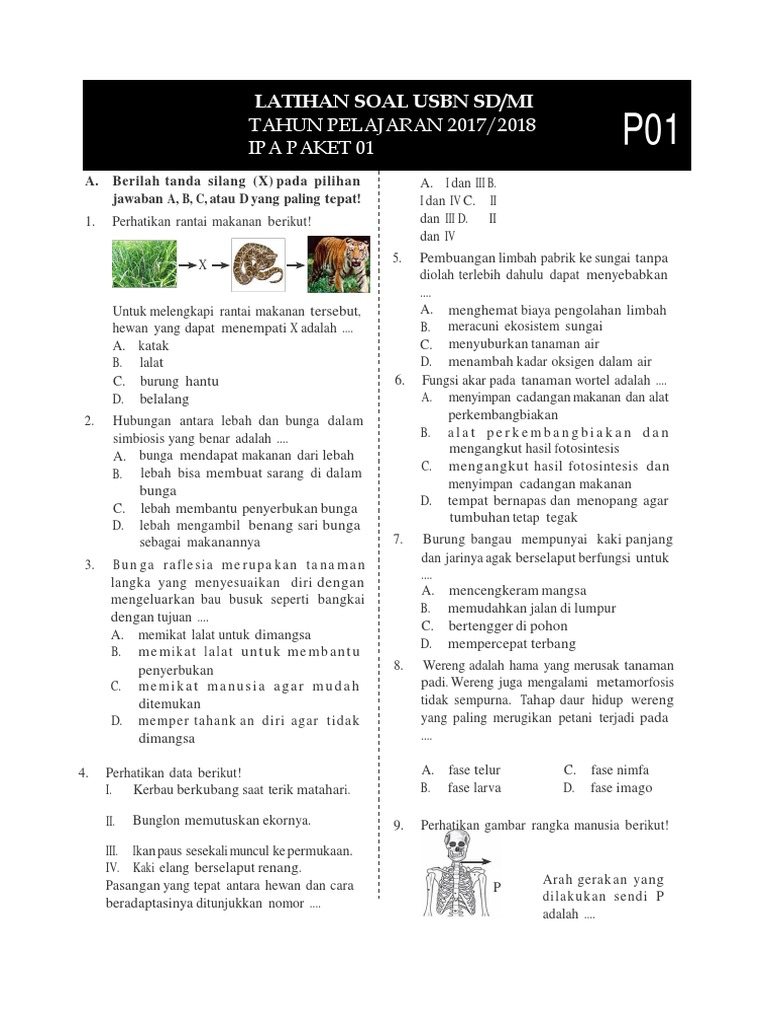 Usbn Sd Mi 2017 2018 Ipa P01 Docx