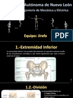 Analisis de Ligamento Lateral