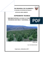 Exp-Tecnico-Pip.pdf