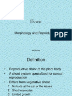 Flower: Morphology and Reproduction