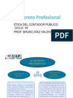 El Secreto Profesional