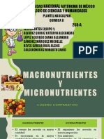 Macronutrientes y Micronutrientes Quimica II Equipo 1 258-A