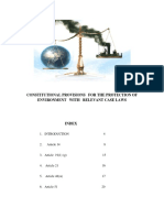 Constitutional provisions for environmental protection