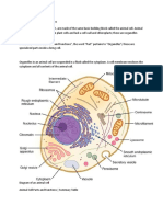 Animal Cell Definition