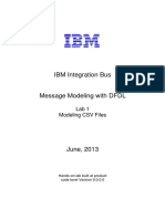 IIB9000 MessageModeling Lab1 CSV