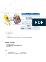 3. Cell Structure and Replication