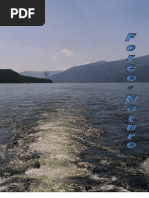 Force of Nature -- British Columbia Conspiracy -- Salmon Arm -- 2010 03 26 -- Professional Lawn Care Treated Unfairly -- MODIFIED -- PDF