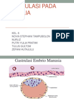 Gastrulasi Pada Mamalia: KEL. 6 Novia Stephani Tampubolon Nurliz Putri Yulia Pratiwi Tulus Gultom Zefani Hutajulu