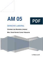 Am 05