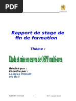Rapport Stage  - TRI - Etude Et Mise en Œuvre de OSPF Multi-Area