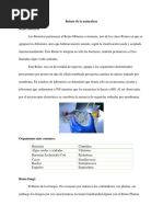 Reinos de La Naturaleza