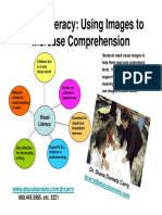 Carry Visual Literacy PDF