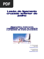 Protocolo de Reabilitação de Joelho