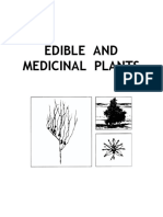 Edible and Medicinal Plants PDF