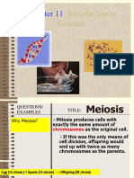 Meiosis and Genetics Combined Powerpoints