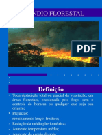 Incêndio Florestal