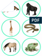 Animales Clasificacion PDF
