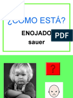 sauer - enojado