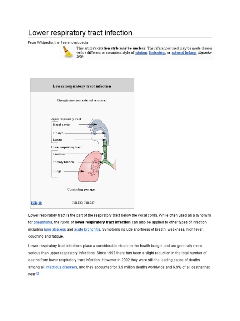 Lower Respiratory Tract Infection | PDF | Bronchitis | Pneumonia