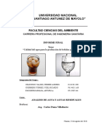Informe Final - Agua Carbonatada
