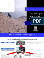 Clase7_Paleontologia_descriptiva.pdf