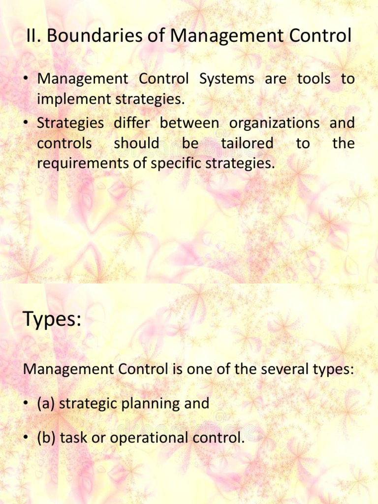 Management Control Systems Overview | PDF | Strategic Management | Goal