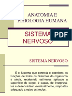 Anatomia e Fisiologia Humana - Sistema Nervoso-1