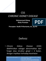 CSS - CKD
