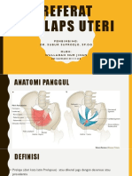 Referat Prolaps Uteri