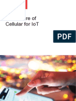 Aricent_The Future of Cellular for IoT v7