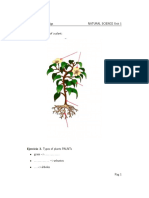 Ejercicio 1. Parts of A Plant:: So Many Living Thigs Natural Science Unit 1