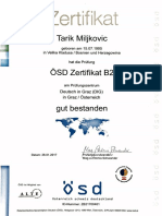 German B2 OSD