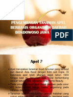 Pengembagan Tanaman Apel Berbasis Organik Di Daerah Bondowoso (Ayu)