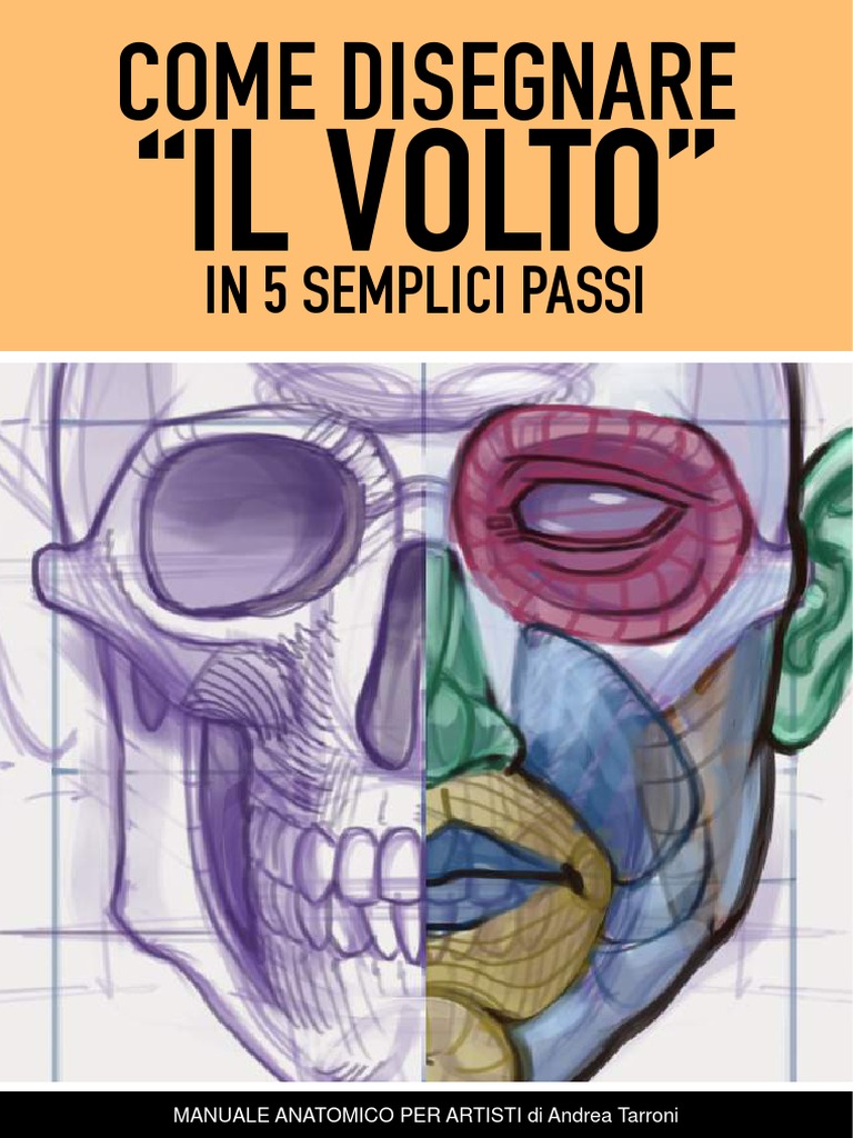 Come Disegnare Il Volto Andrea Tarroni