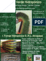Produccion forraje verde hidroponico Ing. Tarrillo.pdf