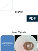 Parasit