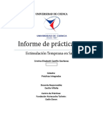 Informe de Practicas Integradas