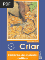 Camarao Da Malasia Cultivo