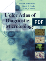Color Atlas of Diagnostic Microbiology.pdf
