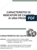 Caracteristici Indicatori Calitate Produs